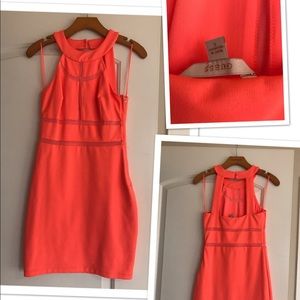 Brand new with tags Guess dress size Small